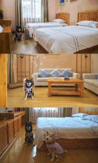 郴州資興|在森林裡遇見了東江湖晨霧