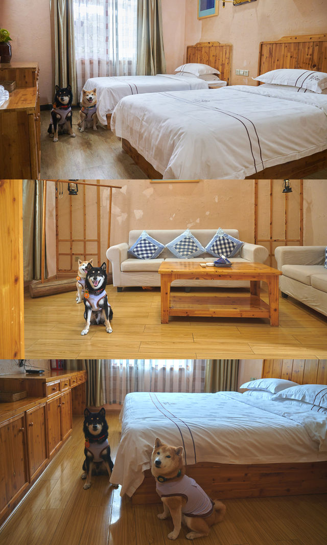 郴州資興|在森林裡遇見了東江湖晨霧 郴州資興|在森林裡遇見了東江湖晨霧