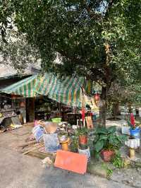 沙坪壩小眾Citywalk 徒步 | 附路線