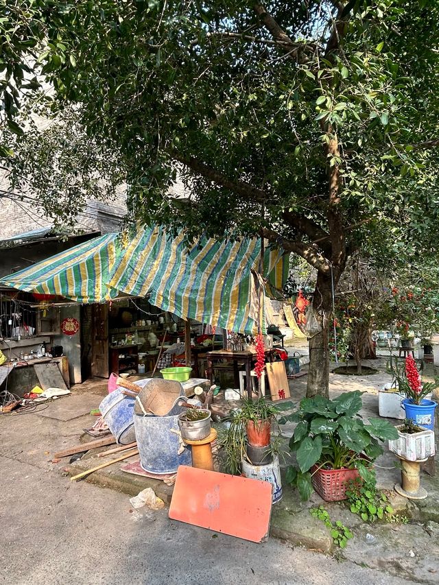 沙坪壩小眾Citywalk 徒步 | 附路線