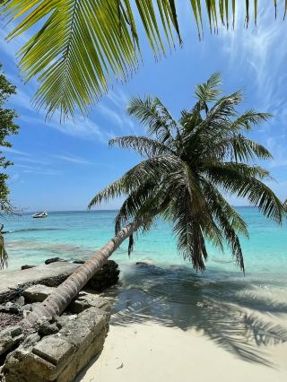 มัลดีฟส์ดรีม🌅