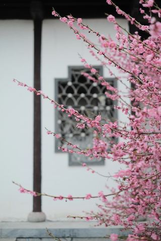 Handan's own "Little Jiangnan" can no longer be hidden!