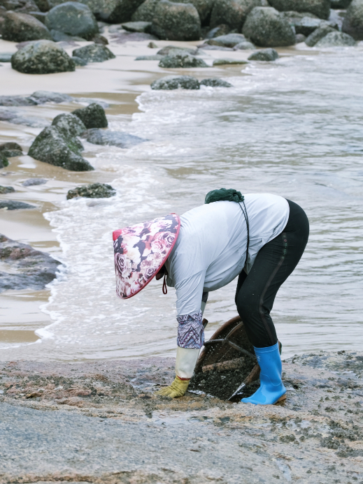 ★じょれん　潮干狩り★ Protect the tidal flats from invasive species! Yatsu Tidal Flat