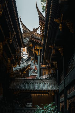 重慶羅漢寺|CBDにある千年の禅意