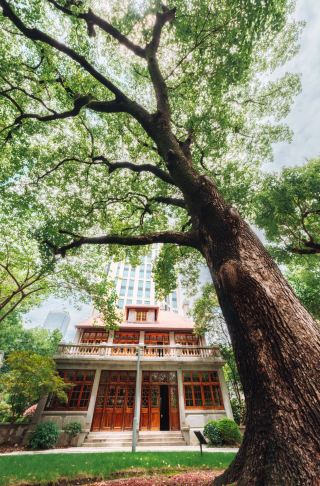 筑影集|彩窗漏进来的夏天·交响音乐博物馆