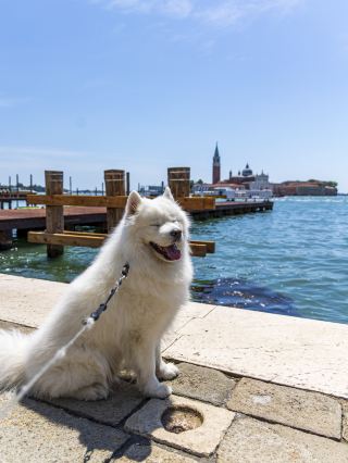 Summer is the perfect time for a multi-city trip across Europe
