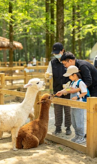  莫干山開元森泊リゾート｜子どもと一緒に山林で過ごす楽しい週末