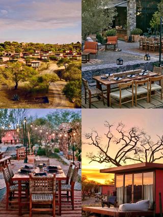 Habitas San Miguel, a secret haven hotel