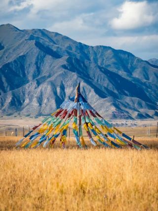 Early Autumn at Sangke Grassland | The lush green fades into a vast expanse of gold