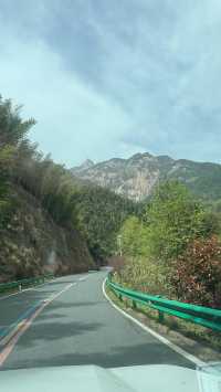 東山問梅村一日遊