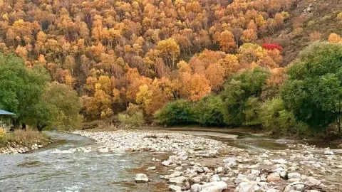 The ultimate National Day autumn getaway! Here is your carpooling guide for a one-day trip around Hohhot — traveler post in Fengzhen