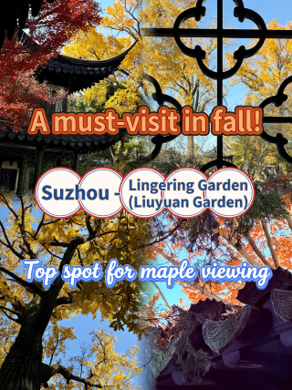 The autumn scenery at Suzhou's Lingering Garden is incredible! A must-visit for the pinnacle of Chinese aesthetics