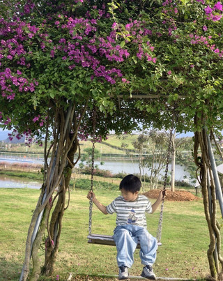 Taman Luying Guangdong.