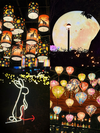 香港中秋夜遊燈會攻略