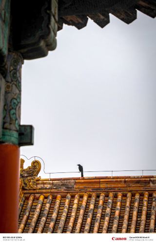 Sharing photo spots at the Forbidden City and Temple of Heaven, jam-packed with 18 photos 📸