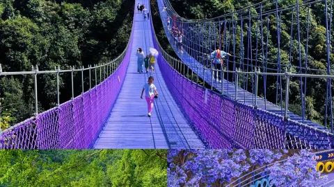 บอกเลยว่าโดน "สวนสนุกกลางป่า" แห่งนี้ตกเข้าอย่างจัง!! สวยจนอึ้ง!! — traveler post in ถงหลู่