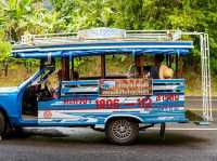 ถนนสายวัฒนธรรมเมืองเก่าตะกั่วป่า