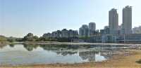 Hong Kong Wetland Park - Wetland and Marshes