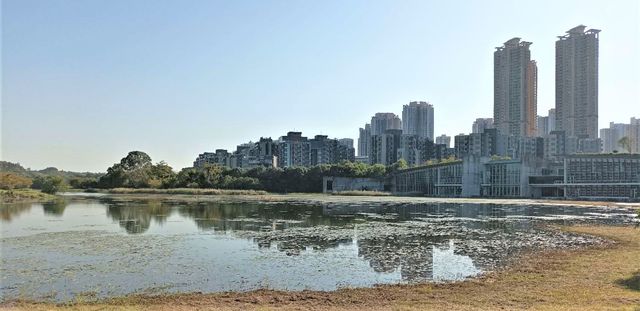 Hong Kong Wetland Park - Wetland and Marshes