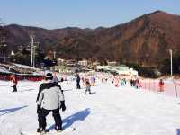 ⛷️熱愛冬季運動🇰🇷Jisan Forest Resort 지산포레스트리조트