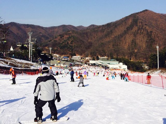 ⛷️熱愛冬季運動🇰🇷Jisan Forest Resort 지산포레스트리조트