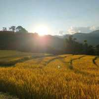 หนาวนี้ที่บ้านแม่กลางหลวง