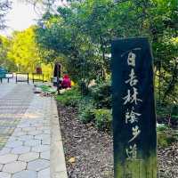 百吉林蔭隧道