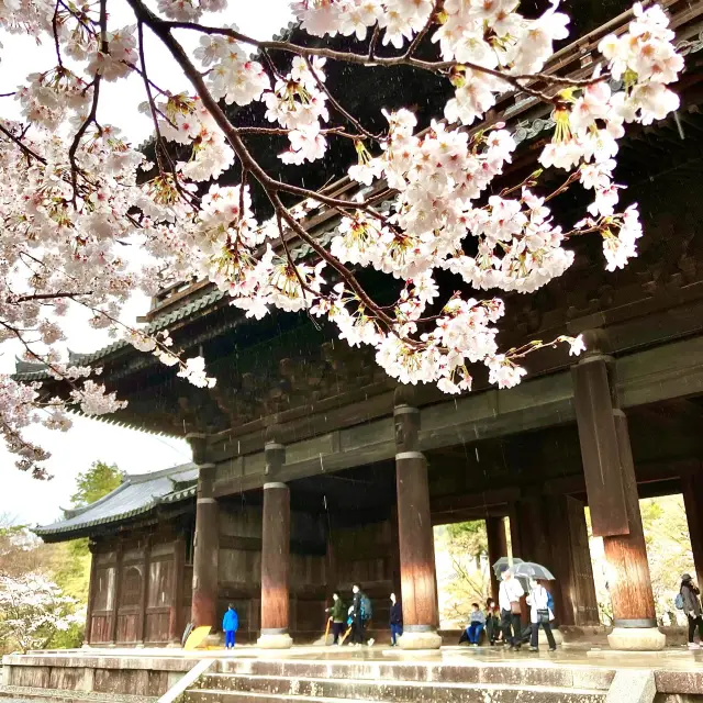 【京都】「絶景かな絶景かな」の自然豊かなお寺