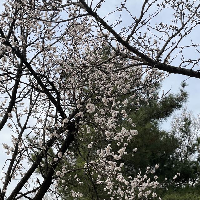 뚝섬 데이트 코스 추천