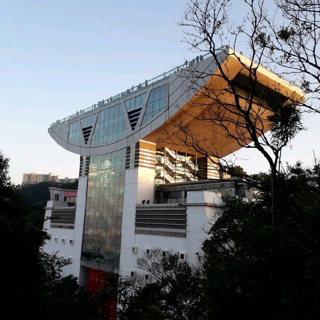 香港的太平山山頂極美!