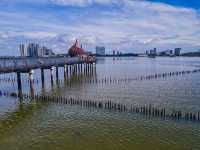 The Mysterious Mangrove 