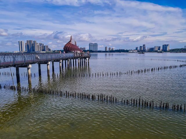 The Mysterious Mangrove 