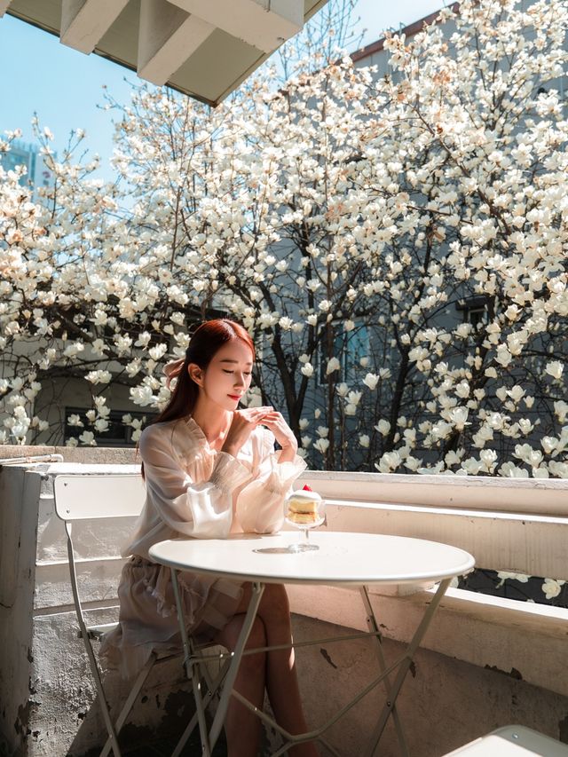대구 목련카페 핫플 포토존이 유명한곳💓