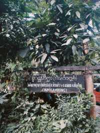 วัดร้อยปีที่แม่กำปอง