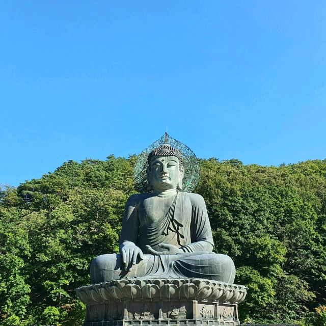 속초 설악산 신흥사에서 고즈넉한 시간을 보내기!