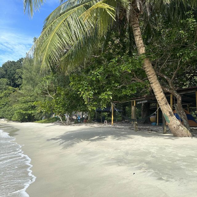 【ペナン島】お猿がいっぱいいるビーチ🏖🐒