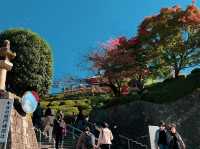 วัดคิโยะมิซุ 清水寺 หรือวัดน้ำใส 🍁⛩️