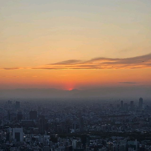 東京必到景點晴空塔🗼