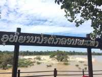 น้ำตกคอนพะเพ็ง (ลาวใต้)