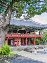 🌿여름빛 가득한 아름다운 제주 관아 [제주목관아]🍊