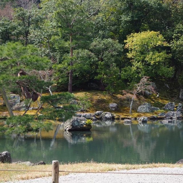 【嵐山】天龍寺の庭園