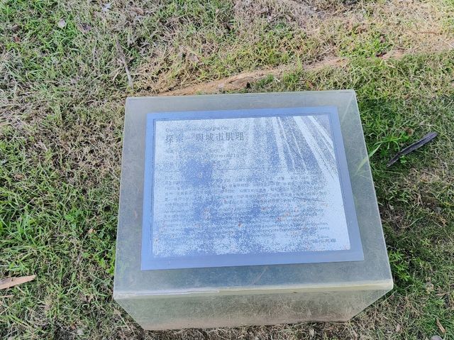高雄前金-下棋乘涼走迷宮|中央公園|（像渡假村的超大型公園）