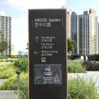 Rooftop Garden at Airside