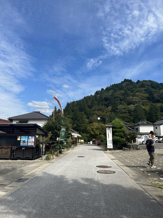 《愛知旅行》 おすすめ観光スポット🚩香嵐渓!