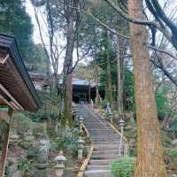 ⛩️🌸 雷山千如寺：靜謐與美麗的禪修之旅 🍃🏯✨