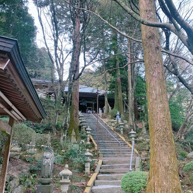 ⛩️🌸 雷山千如寺：靜謐與美麗的禪修之旅 🍃🏯✨