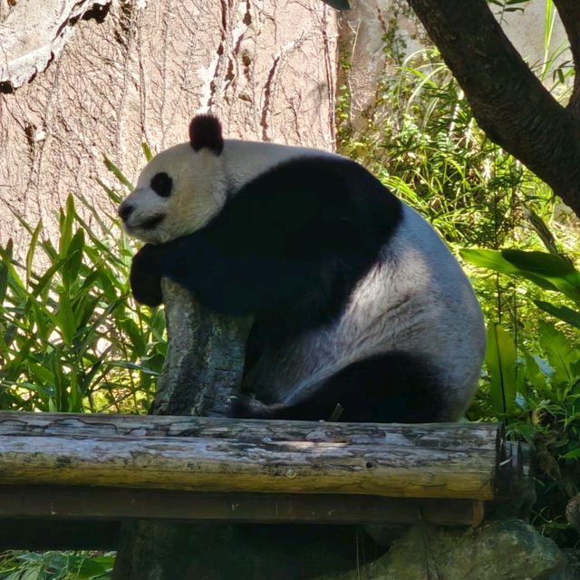 Vườn thú Đài Bắc