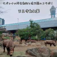 通天閣とサバンナの野生動物が一緒に楽しめる　天王寺動物園