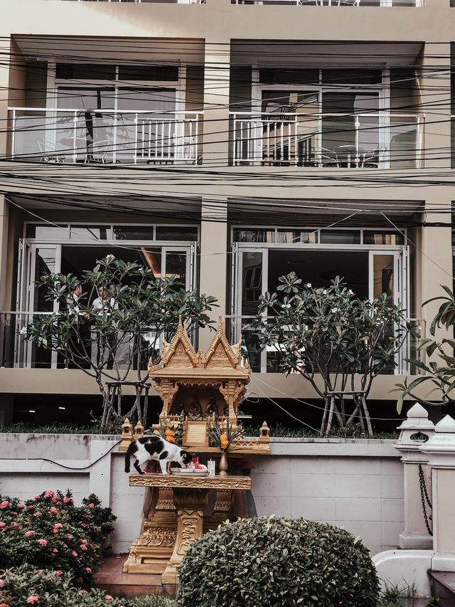 體驗泰國芭堤雅四星級水晶宮殿酒店🏨