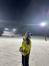 인프라 좋은 스키장, 홍천 비발디파크 스키장🎿